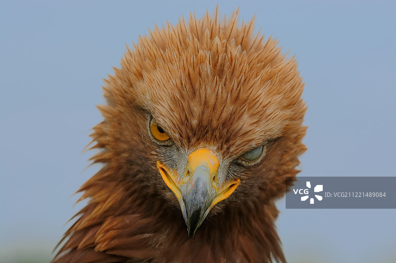 蓝色的眼睛图片素材