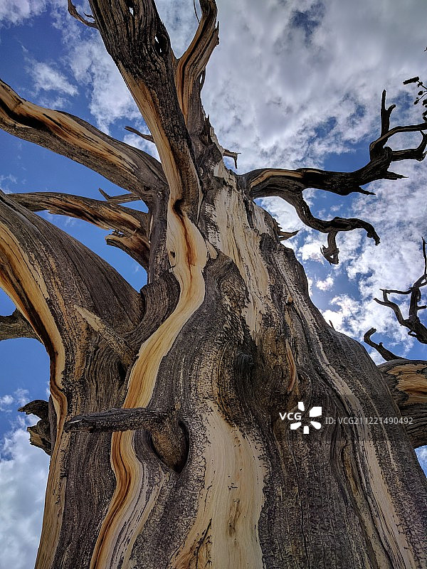 飞向天空图片素材