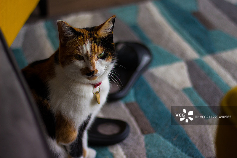 利物浦图片素材