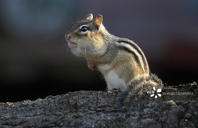 最后的准备工作图片素材