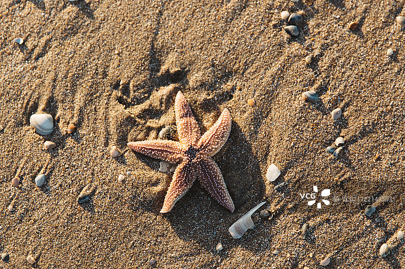 赞德沃特海滩图片素材