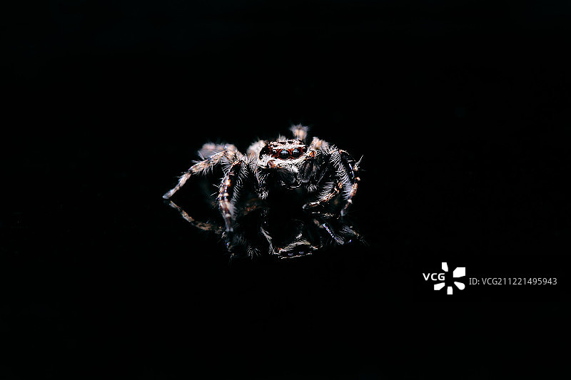 在黑暗中图片素材