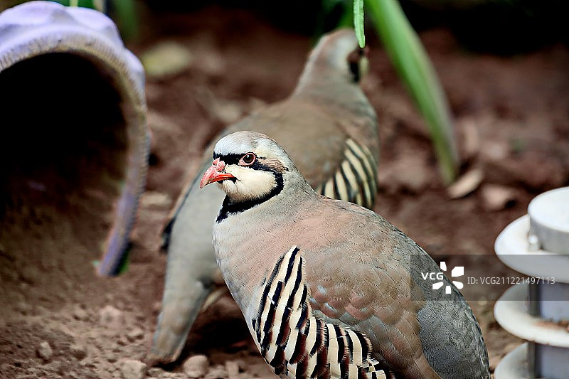 居家生活图片素材