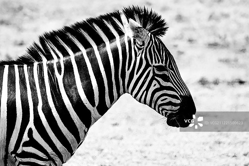 自然图像图片素材