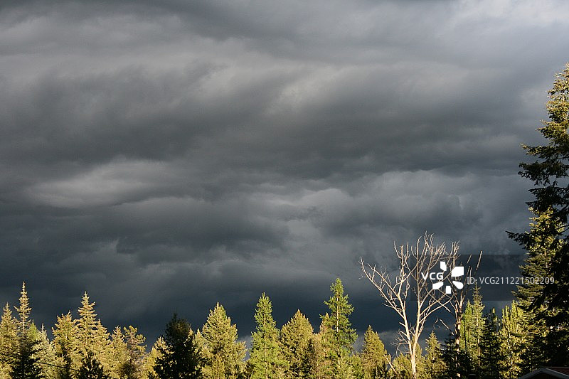 美丽的夜晚图片素材