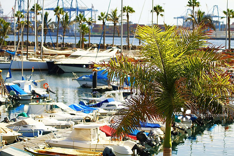 美好的一天图片素材