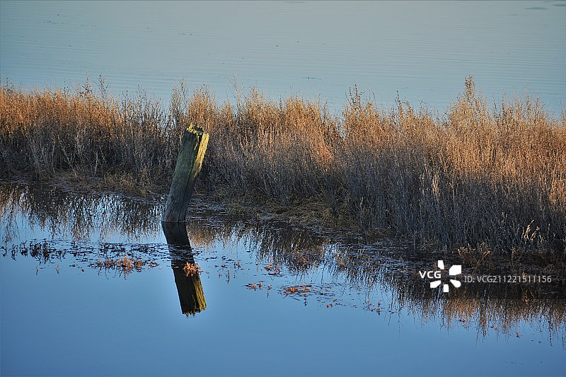 湖中桩柱景色图片素材