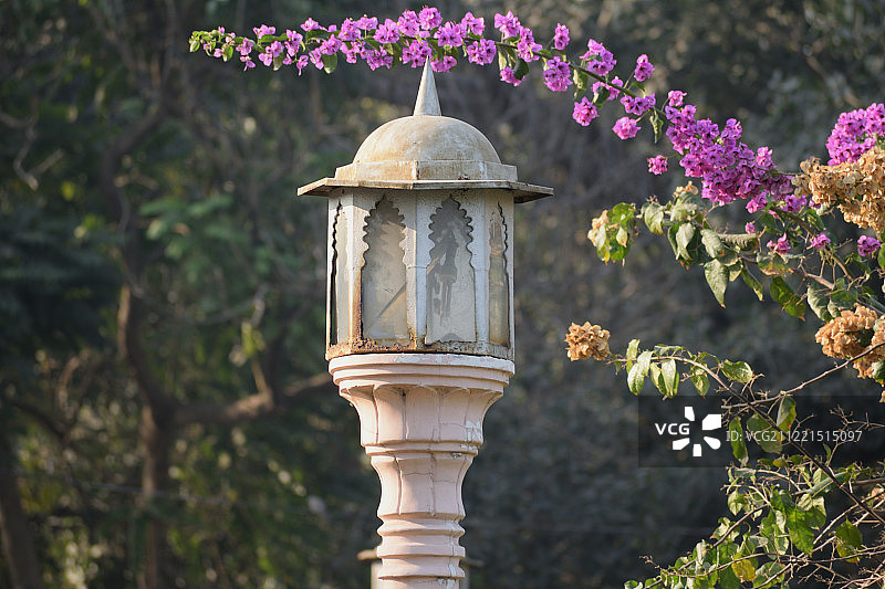 自然图像图片素材