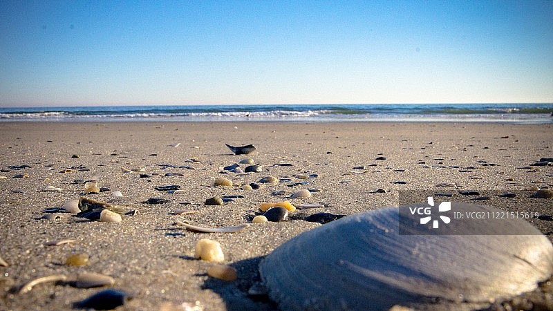 贝壳的故事图片素材