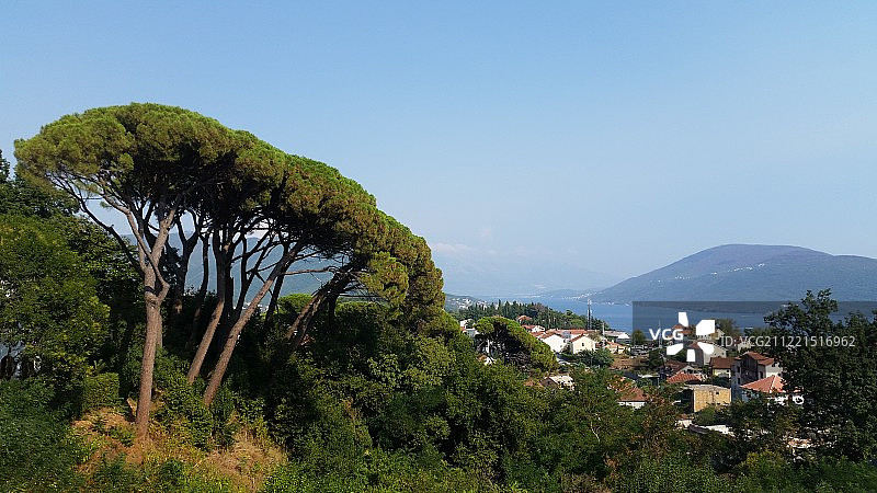 黑山共和国的黑塞哥诺威图片素材