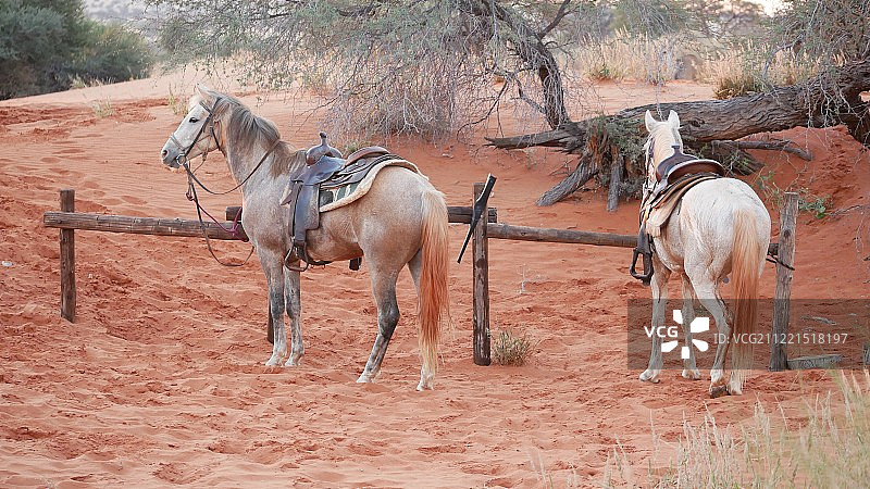 纳米比亚图片素材