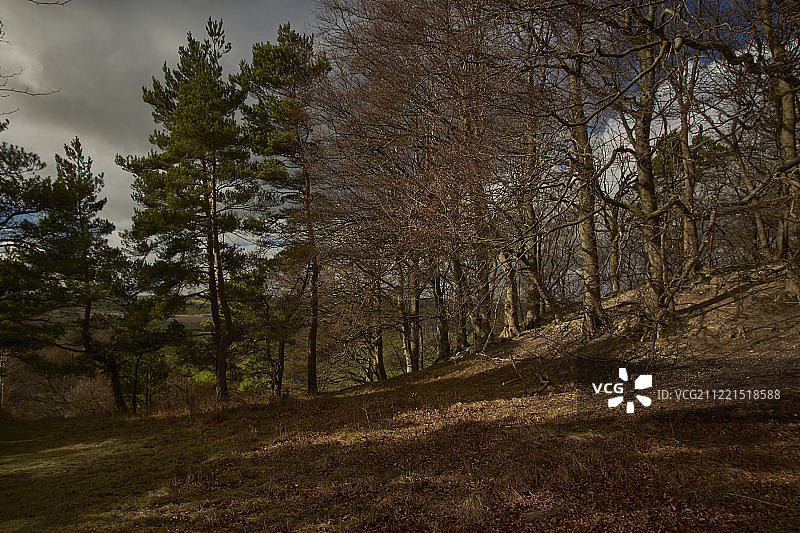 沙普霍克拉珀斯，贝德福德郡，英格兰图片素材