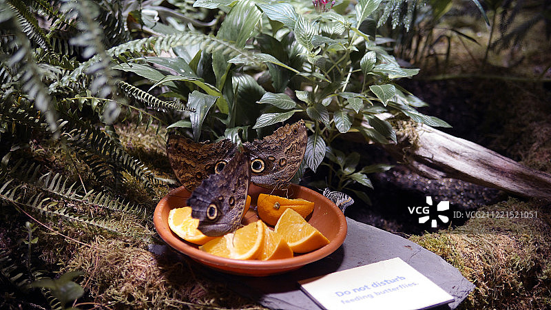 休闲时光图片素材