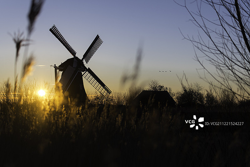 格罗宁根的诺德莫伦风车图片素材