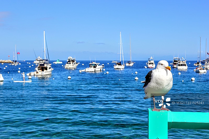 摆姿势图片素材