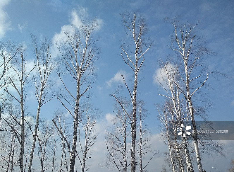 阳光明媚的一天图片素材