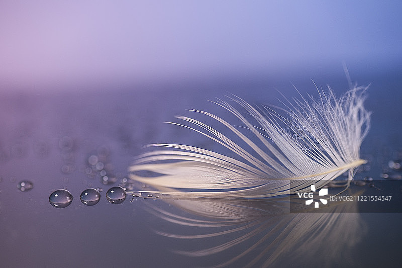 梦的碎片图片素材