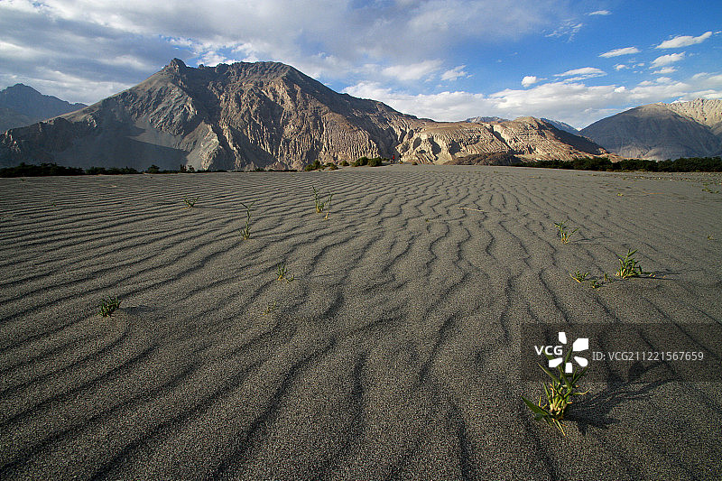 努布拉寒冷沙漠图片素材