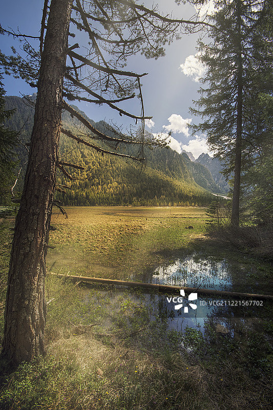 突如其来的天堂图片素材