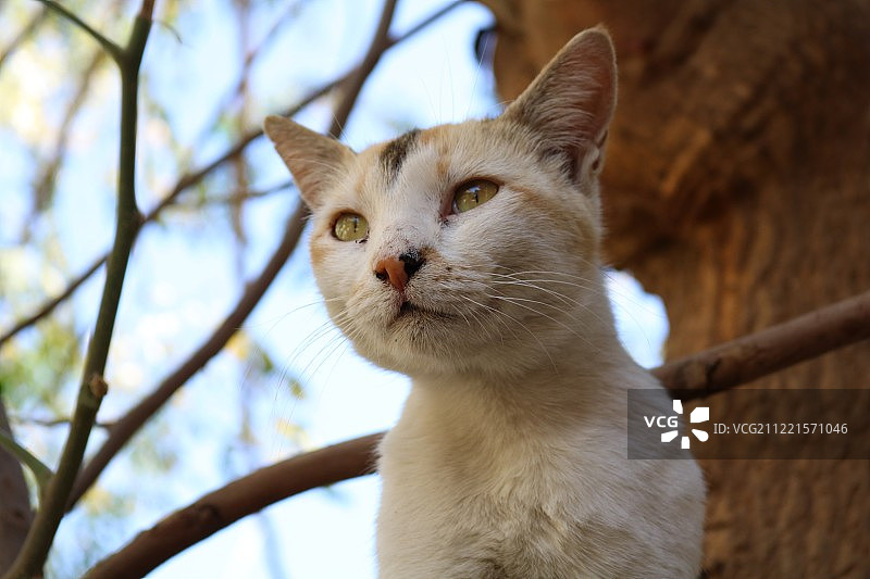 摄影图像图片素材