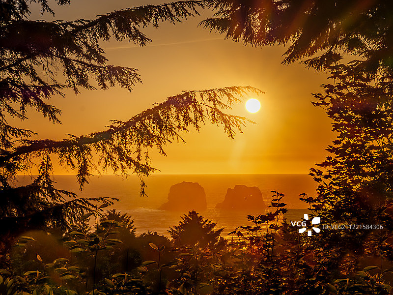 金色海洋日图片素材