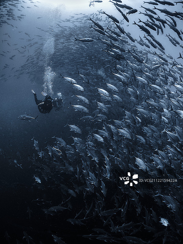 失物招领图片素材