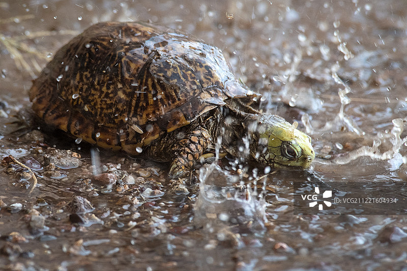 第一次下雨图片素材