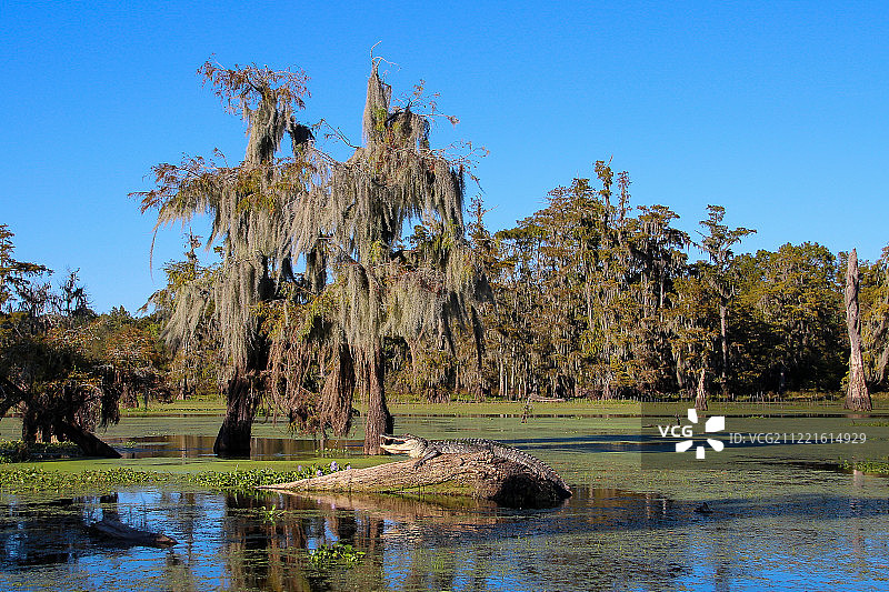 日光浴图片素材