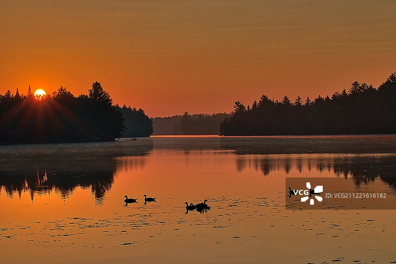 宁静的早晨图片素材