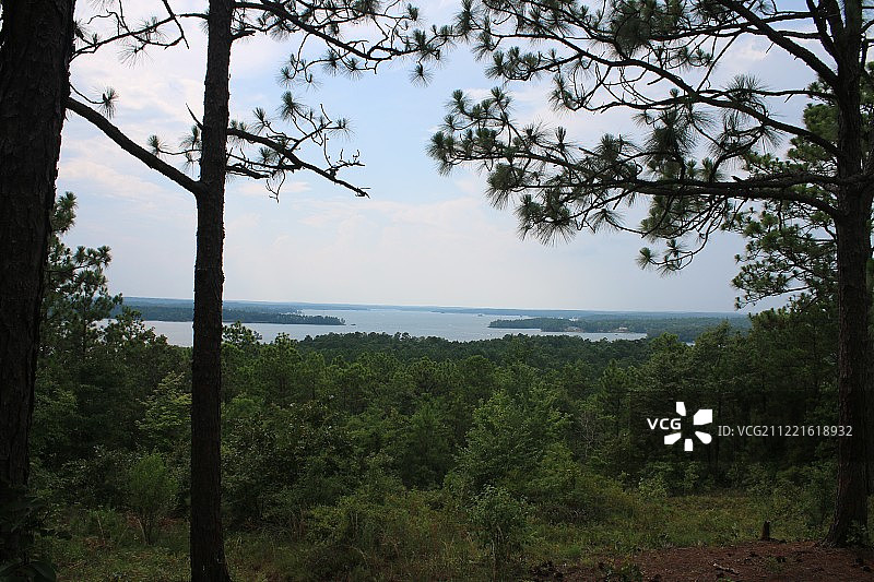 马丁湖瞭望台图片素材