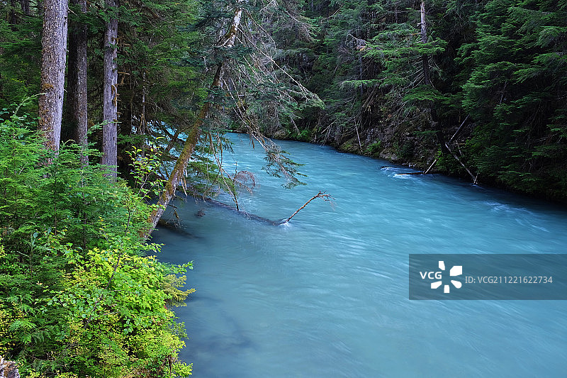 北喀斯喀特国家公园的雷霆小溪，华盛顿州，美国图片素材