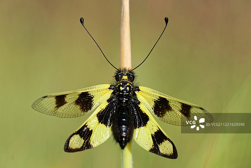 夏日清晨图片素材