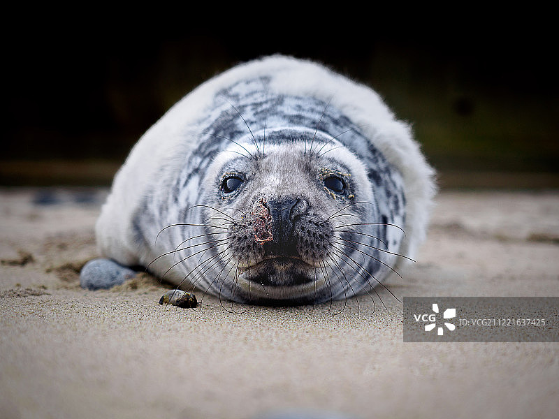 缺失的文字图片素材