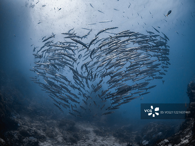 我们生命中的所作所为，在永恒中回响图片素材