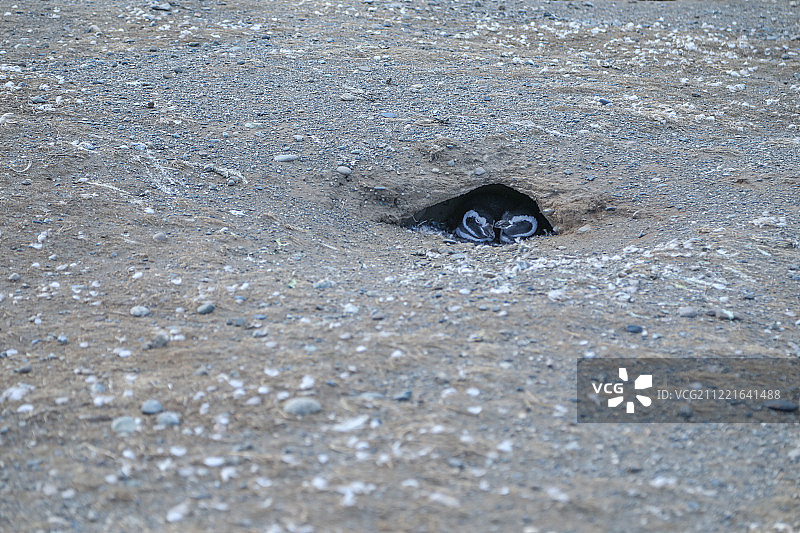 巴塔哥尼亚图片素材