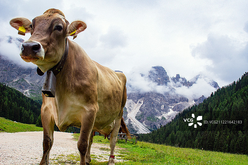 面对面（2）图片素材
