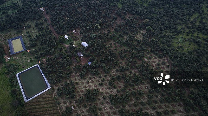树木苗圃风景图片素材