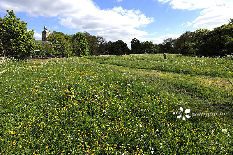 伯韦尔城堡遗址的夏日景色，伯韦尔村图片素材