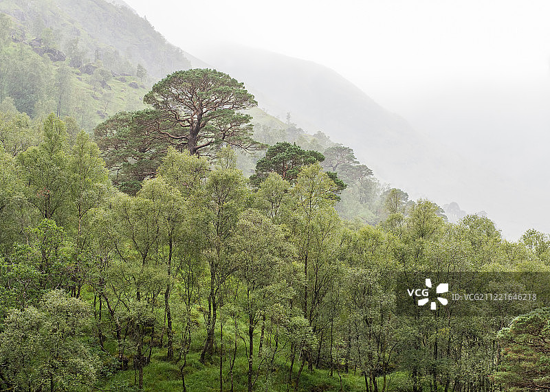 超越一切...图片素材