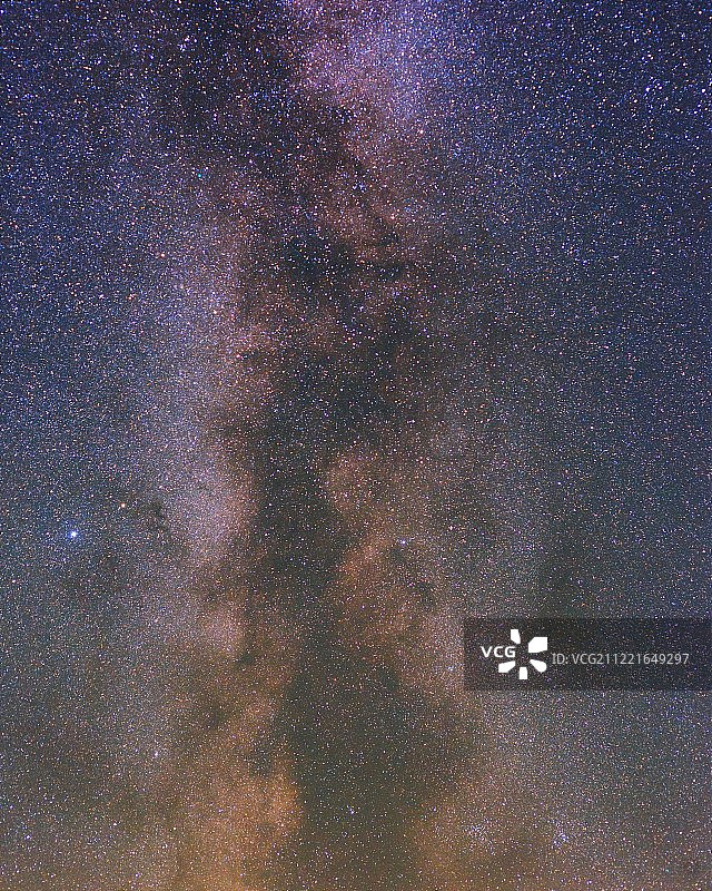 天鹅、鹰和狐狸图片素材