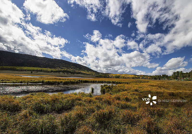 犹他州鱼湖国家森林潘多森林远景图片素材