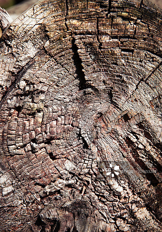 风化干燥木材纹理细节图片素材