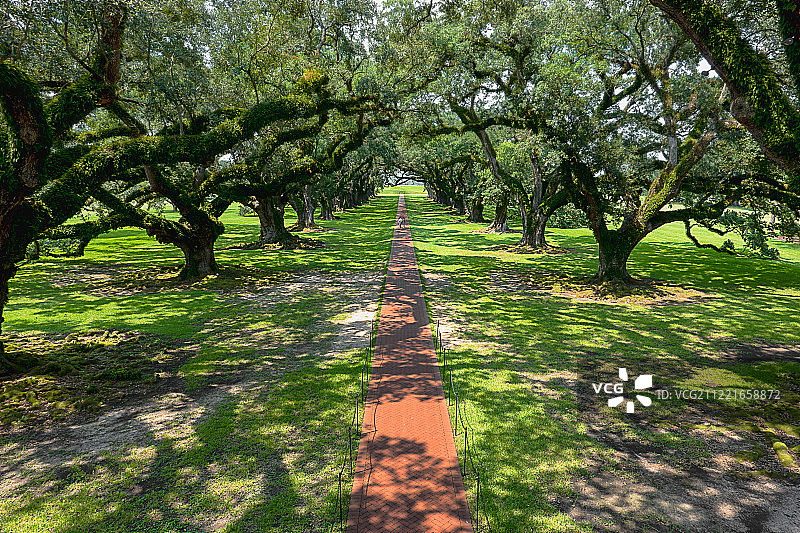 橡树巷种植园2图片素材