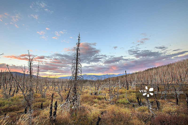 野火烧毁高山草甸图片素材