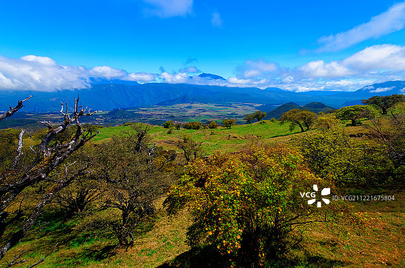 平原咖啡馆的雪景图片素材