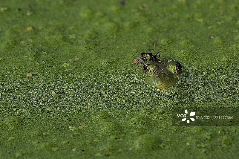 完整输出A图片素材