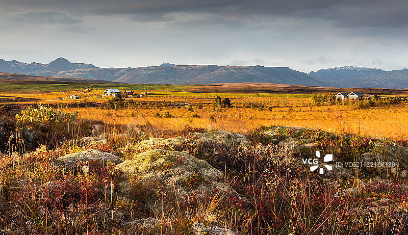 冰岛的田野图片素材