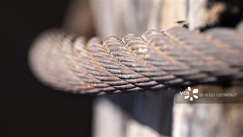 微距照片图片素材