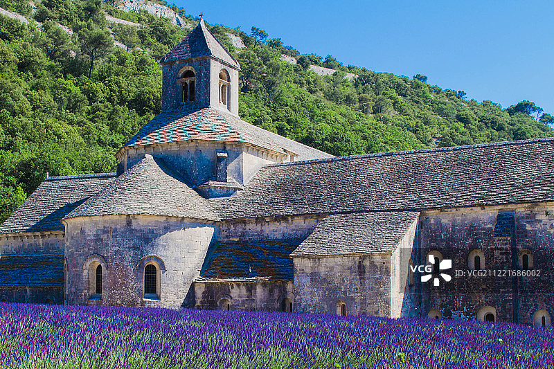 盛开的普罗旺斯图片素材