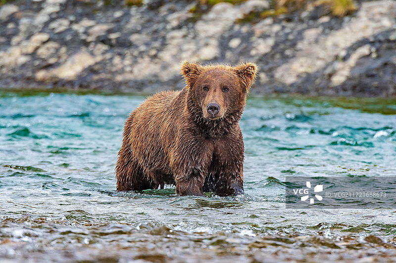 麦克尼尔河钓鱼图片素材